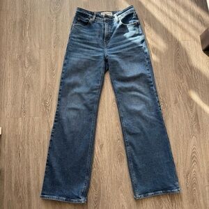 Aritzia Denim Jeans